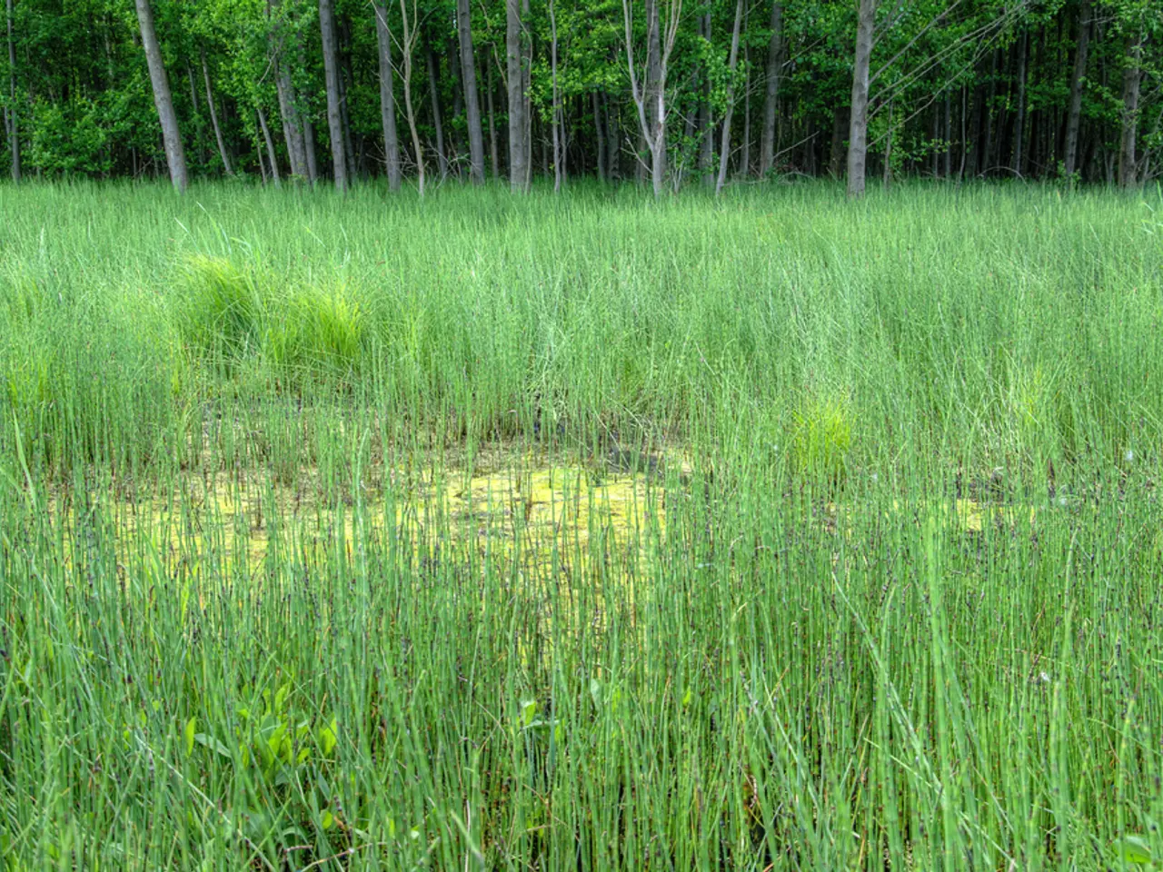 U.S. wheat farmers rely on sales to foreign markets and hope their long-standing partners continue...