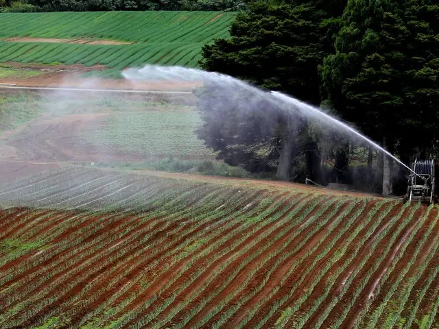 Permaculture's Impact on Sustainable Farming
